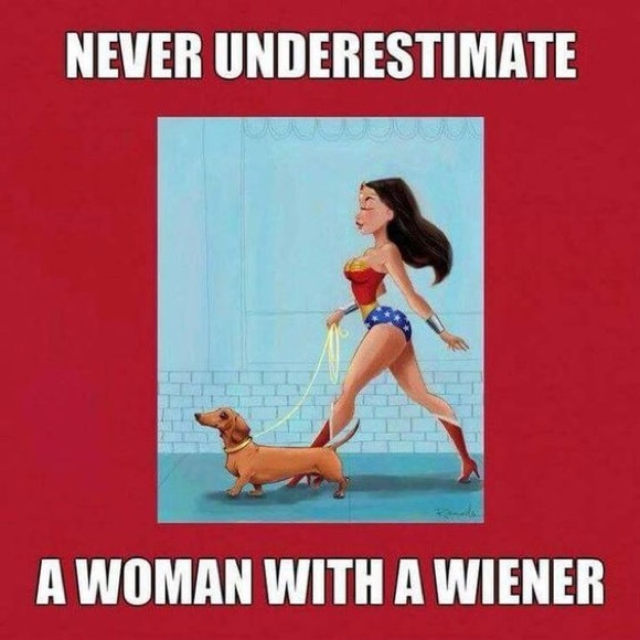 Meet your Posher, Cece - Picture 2 of 4